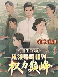 重生官场小说